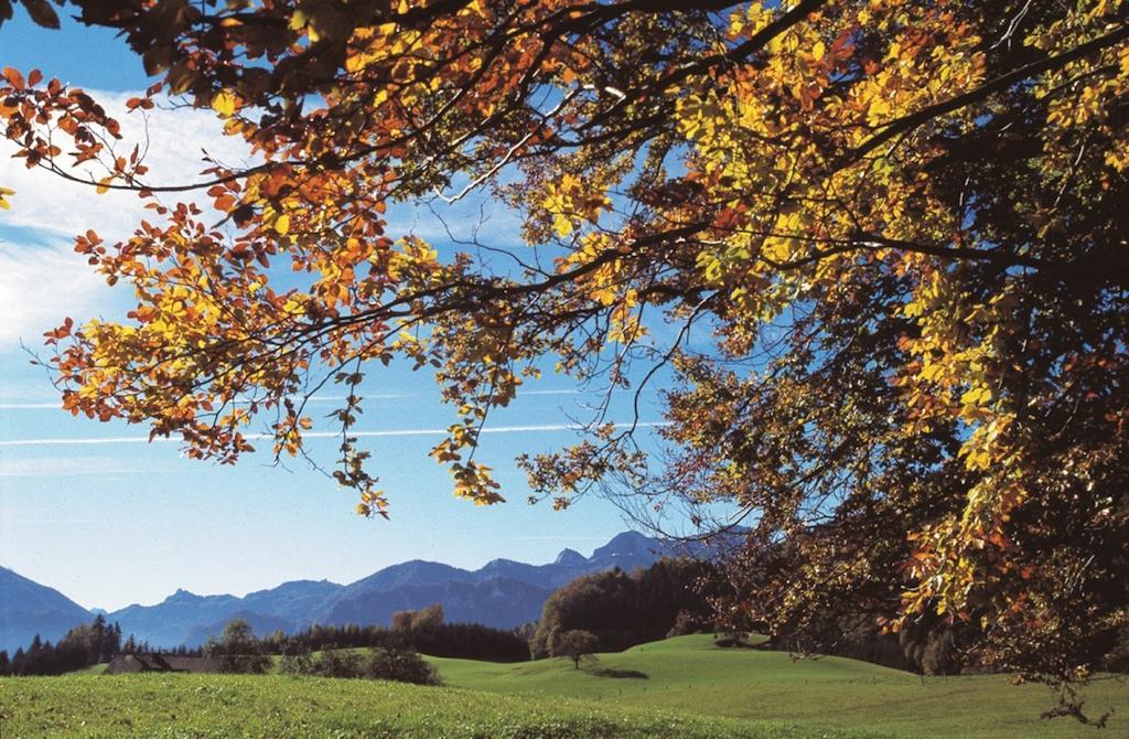 Отель Haus Gruber Attersee Экстерьер фото