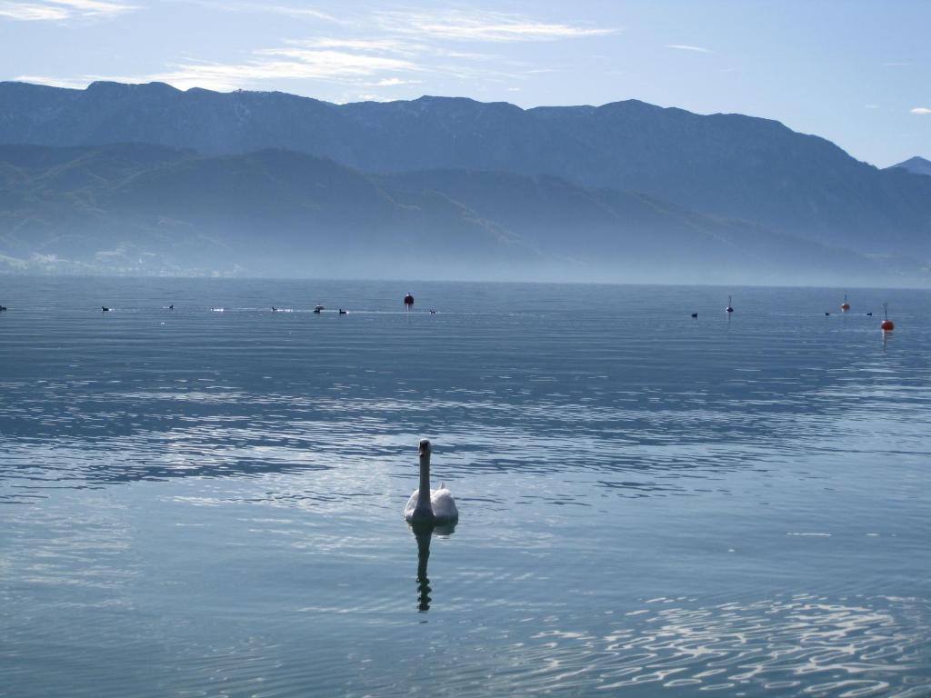 Отель Haus Gruber Attersee Экстерьер фото